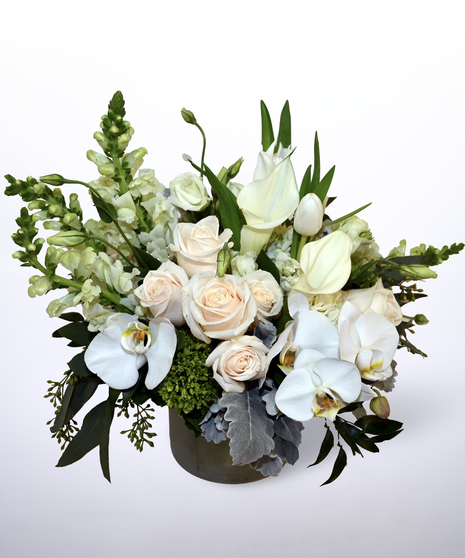 Sublime Whites
