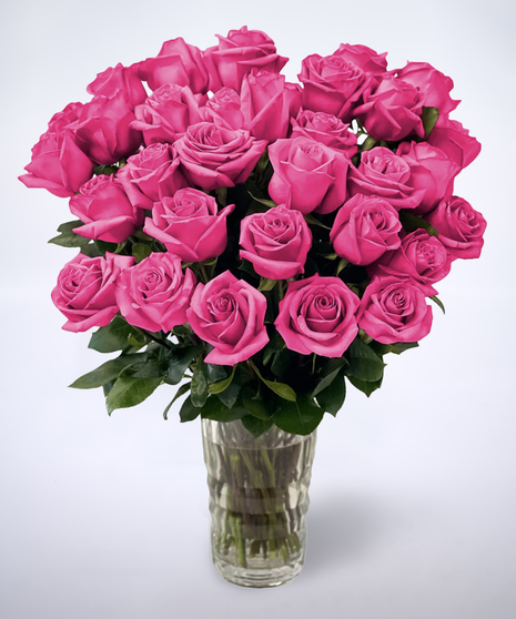 hot pink roses