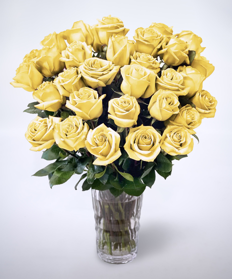 yellow roses in a vase