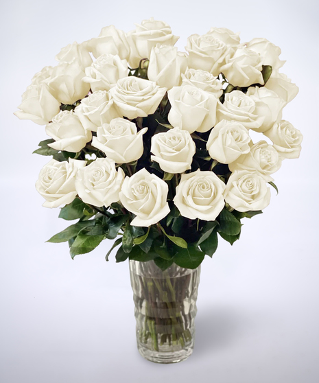 white roses in a vase