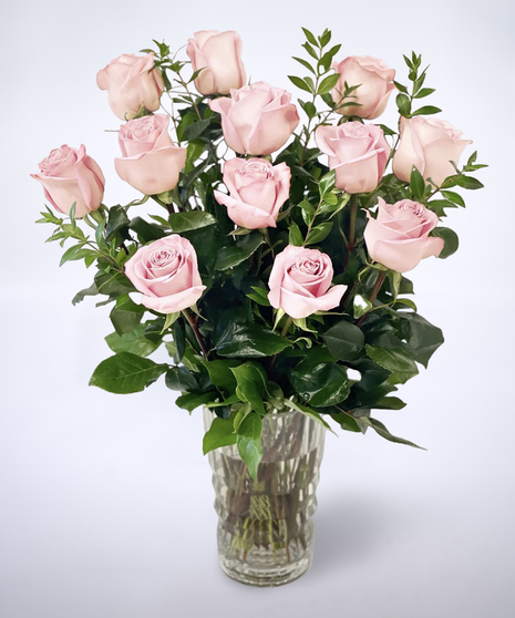 light pink roses