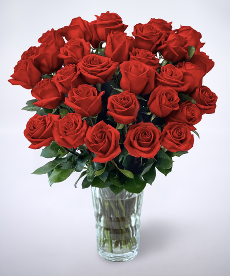 red roses in a vase