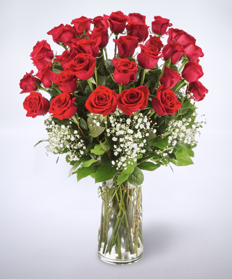 red roses in a vase