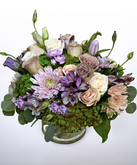 purple flowers in garden style