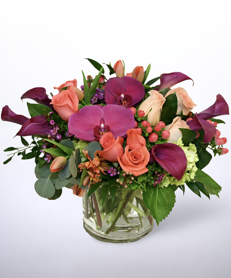 hot pink and orange flowers