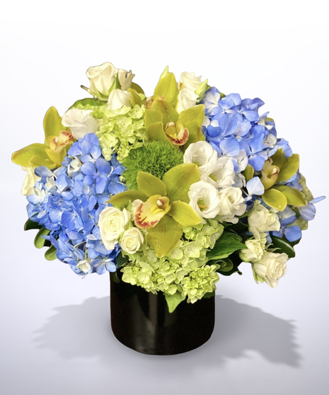 Cymbidium Dreams