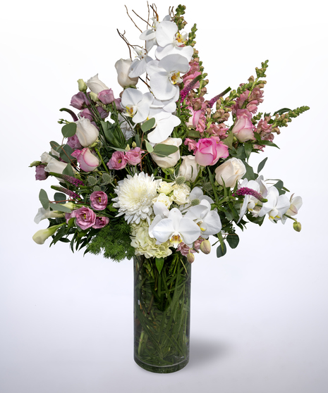 pink and white flowres