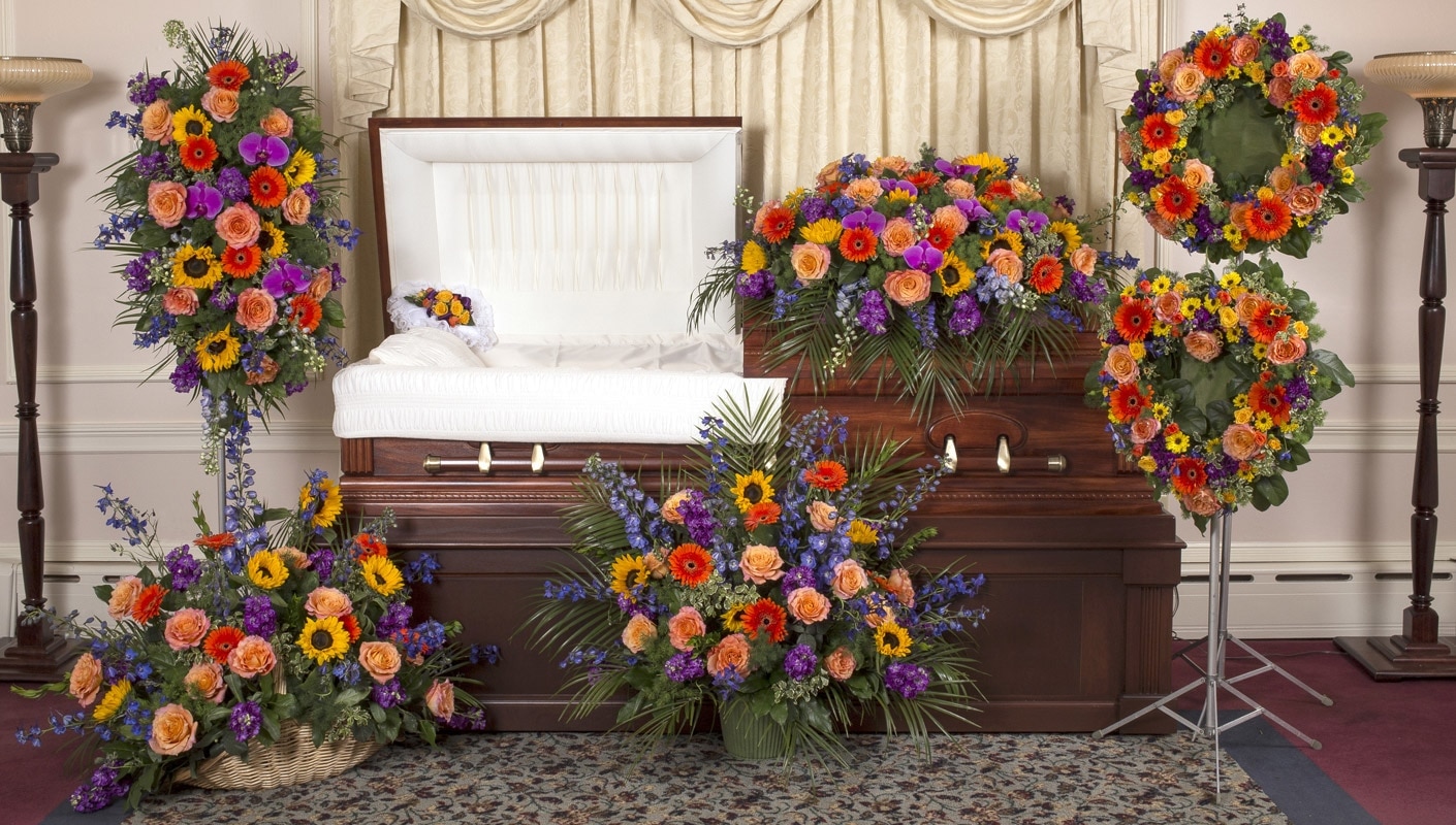 Vivid Beauty Designs